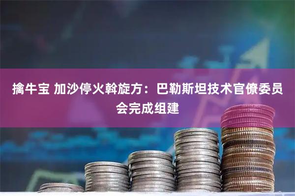 擒牛宝 加沙停火斡旋方：巴勒斯坦技术官僚委员会完成组建